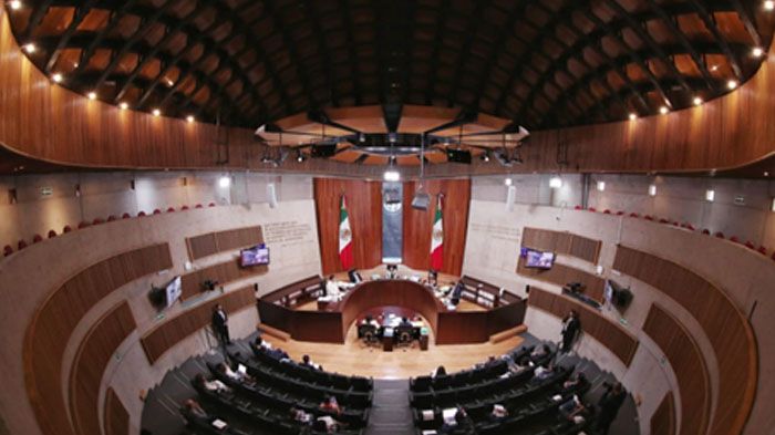 Ordena TEPJF a Somos México modificar denominación, emblema y colores