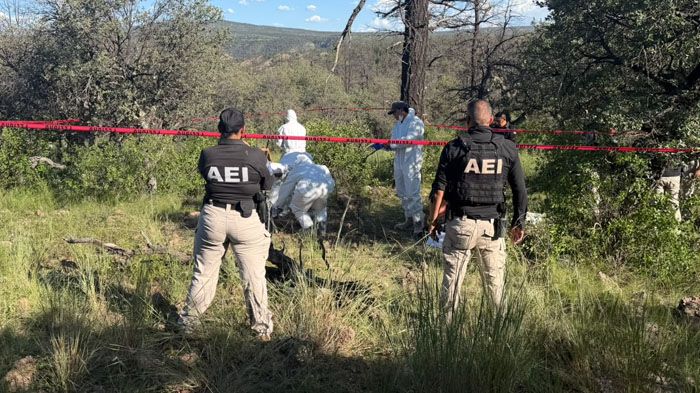 Localiza Fiscalía Noroeste osamentas en "El Willy" tras operativo de rastreo