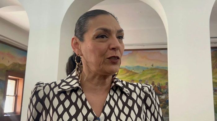 Celebramos la no aprobación de la reforma, aunque no todo era malo: Yanko Durán