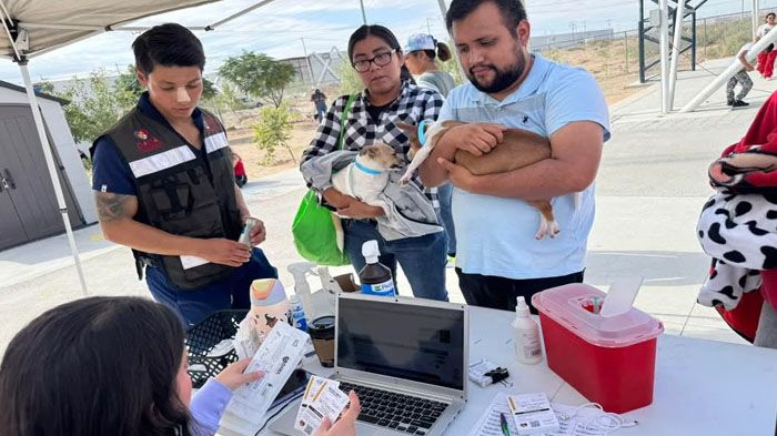 Invita Bienestar Animal a vacunar las mascotas contra garrapatas